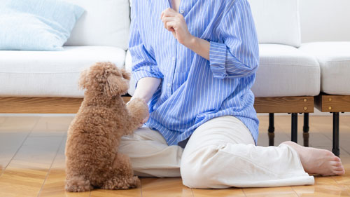 寝る前のふれあいタイム